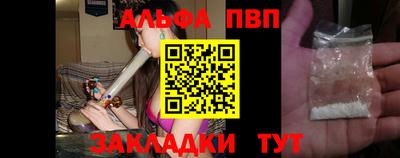 твердый Кингисепп