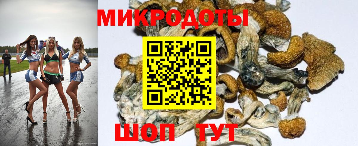 цена наркотик  Вход с VPN  Кириши  Галлюциногенные грибы Magic Shrooms 
